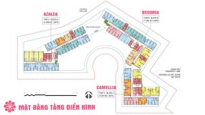 Mặt bằng tầng căn hộ điển hình