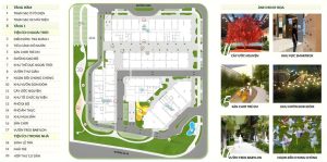 Mặt bằng tiện ích tầng hầm và tầng 1 tại căn hộ Green Skyline